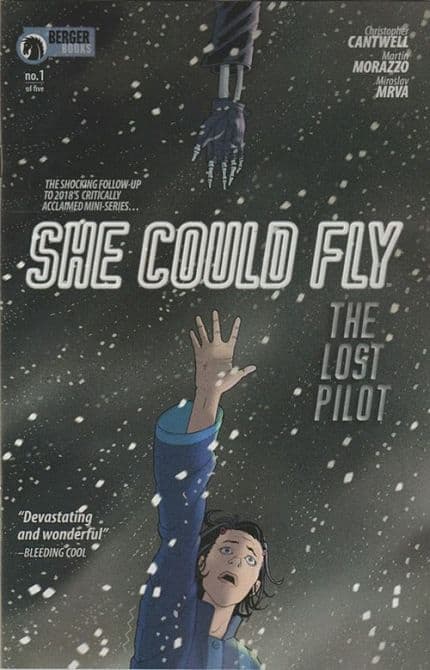 Cover Art for SHE COULD FLY LOST PILOT ( 2019 )