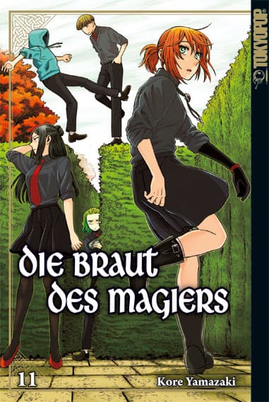 Cover Art for DIE BRAUT DES MAGIERS