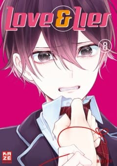 Cover Art for LOVE & LIES
