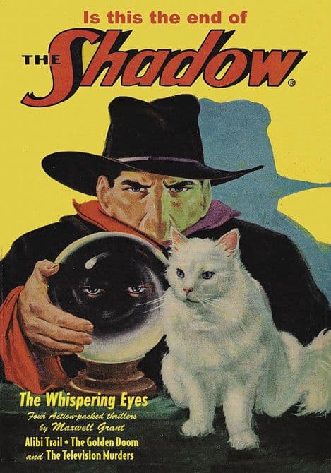 SHADOW NOVEL SC VOL 151
