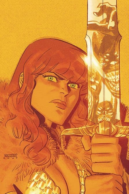 Cover Art for VAMPIRELLA RED SONJA