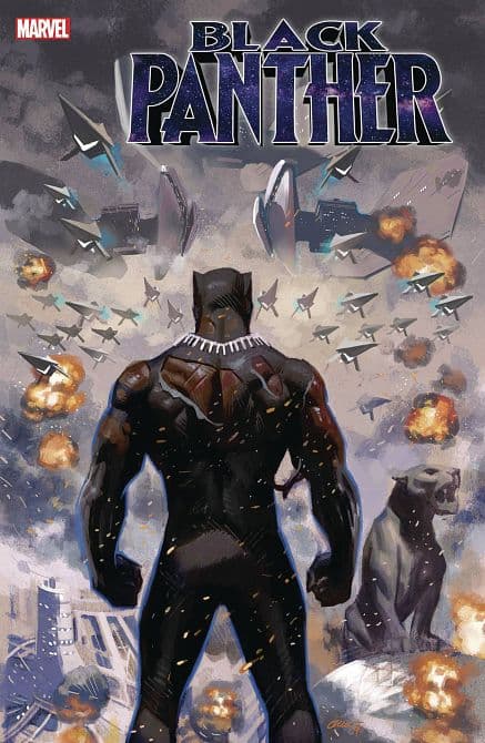 Cover Art for BLACK PANTHER ( 2018-2021 )