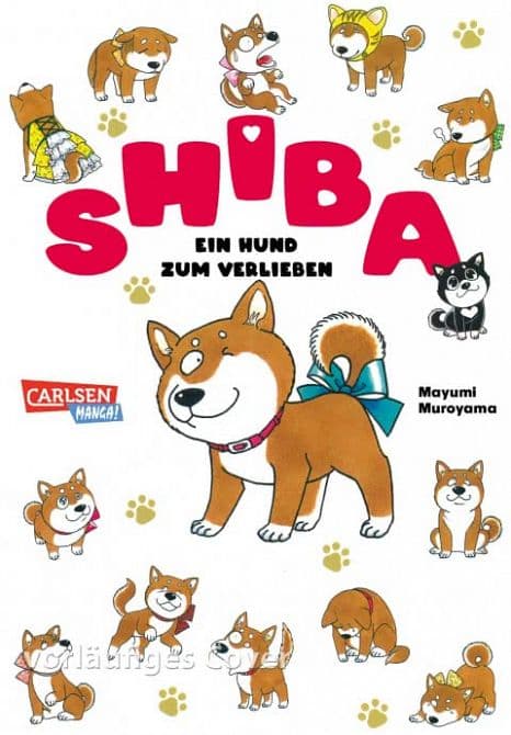SHIBA-EIN HUND ZUM VERLIEBEN