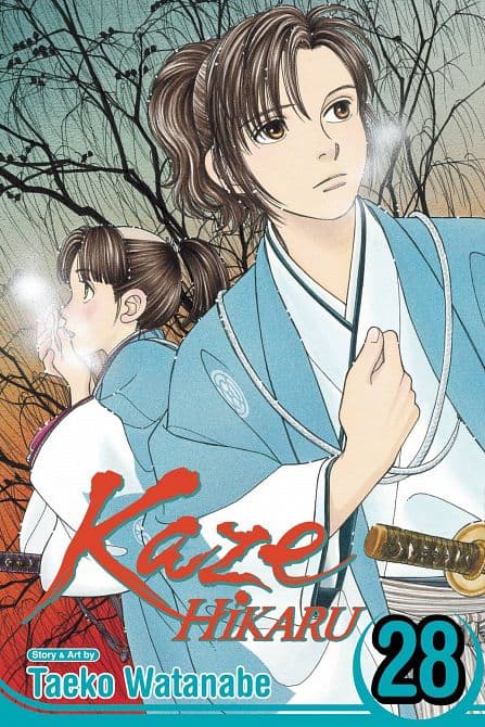 Cover Art for KAZE HIKARU GN VOL 28