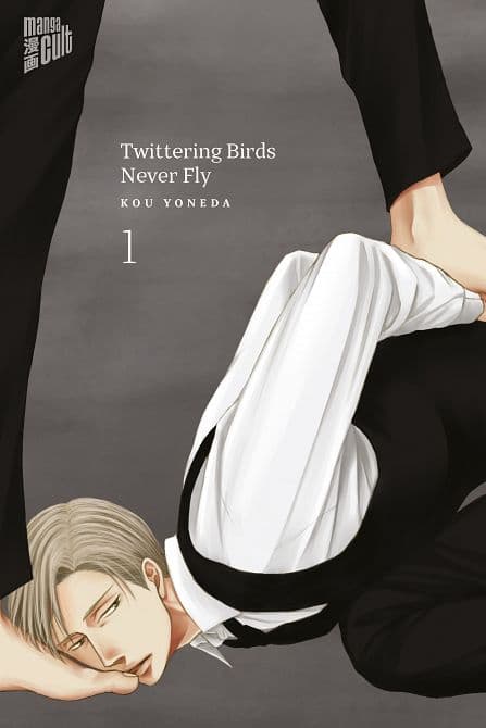 Cover Art for TWITTERING BIRDS NEVER FLY
