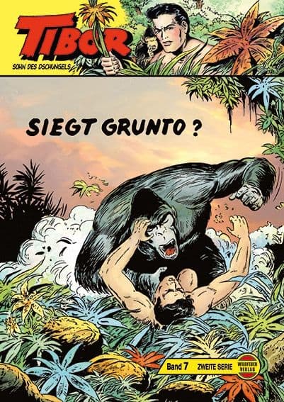 Cover Art for TIBOR II. SERIE GROßBAND