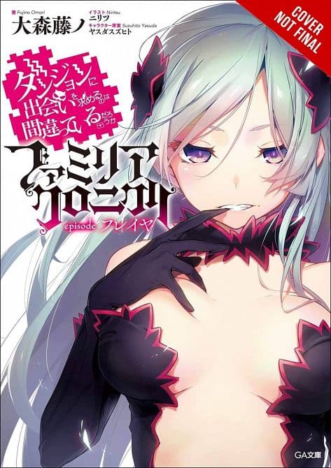IS WRONG PICK UP GIRLS DUNGEON FAMILIA GN VOL 02 FREYA