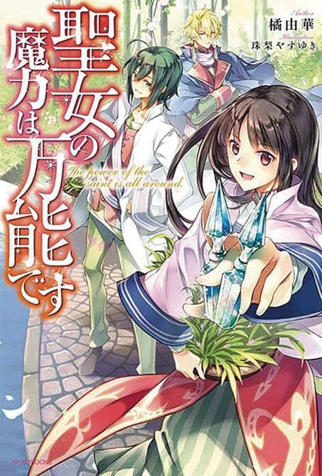 Cover Art for SAINTS MAGIC IS OMNIPOTENT GN VOL 01