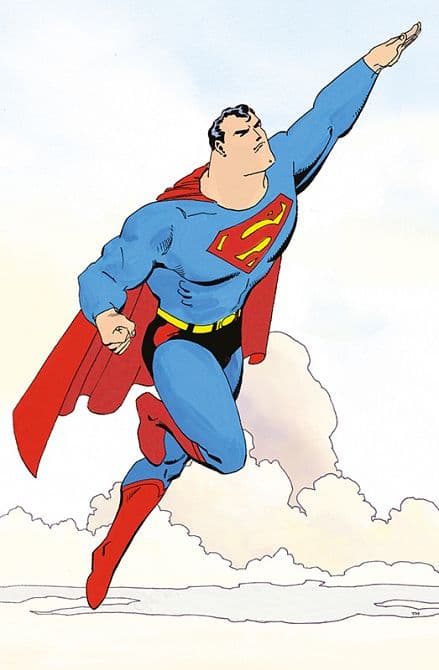 SUPERMAN: EIN HELD FÜRS GANZE JAHR ( SC )