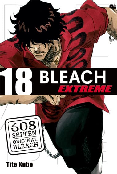 Cover Art for BLEACH EXTREME