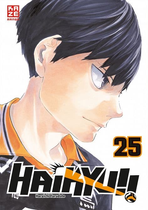 Cover Art for Haikyu!!
