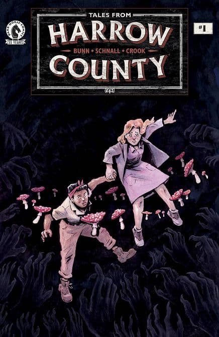 Cover Art for TALES FROM HARROW COUNTY FAIR FOLK