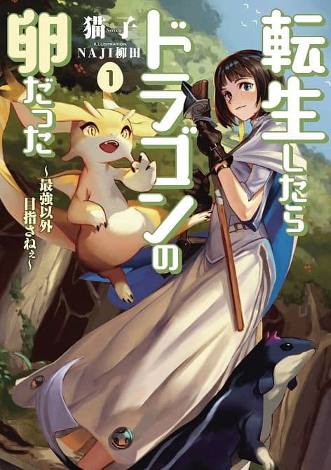 Cover Art for REINCARNATED AS A DRAGON HATCHLING LIGHT NOVEL SC VOL 01