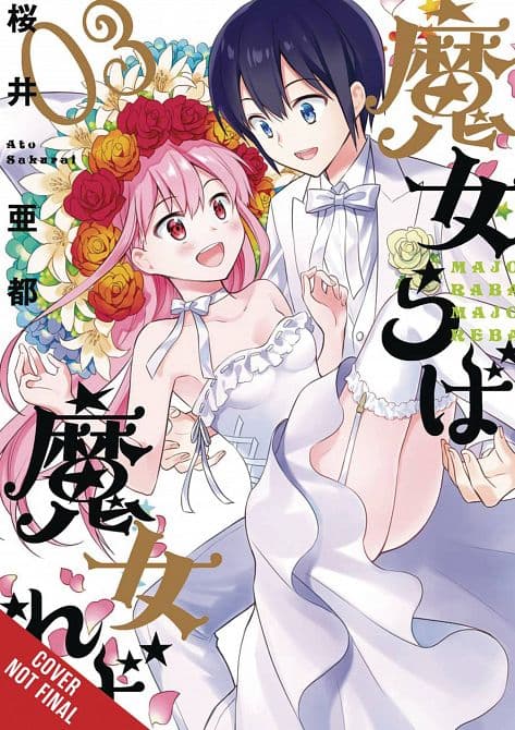 Cover Art for IF WITCH THEN WHICH GN VOL 03