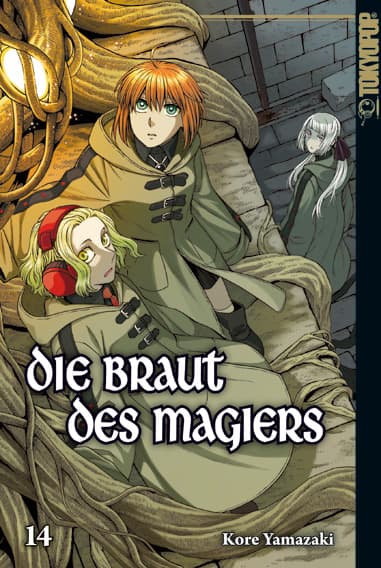 Cover Art for DIE BRAUT DES MAGIERS