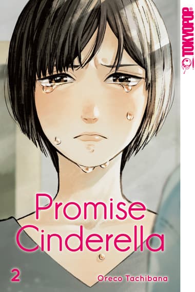 Cover Art for PROMISE CINDERELLA