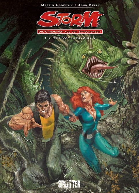Cover Art for STORM-CHRONIKEN AUS DER ZWISCHENZEIT