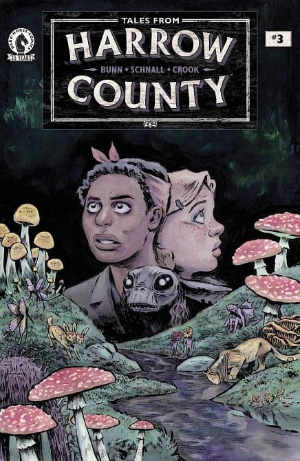 Cover Art for TALES FROM HARROW COUNTY FAIR FOLK