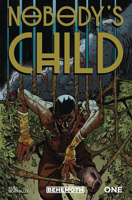 Cover Art for NOBODYS CHILD