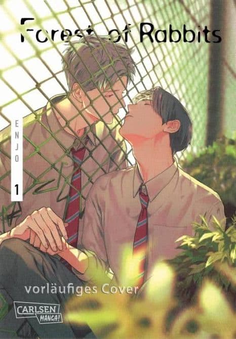 Cover Art for FOREST OF RABBITS