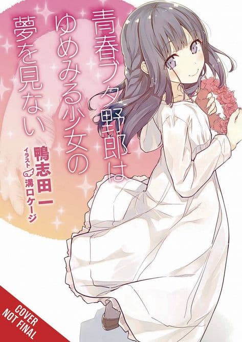 Cover Art for RASCAL DOES NOT DREAM OF DREAMING GIRL LIGHT NOVEL SC