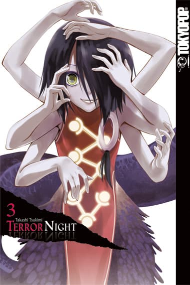 Cover Art for TERROR NIGHT