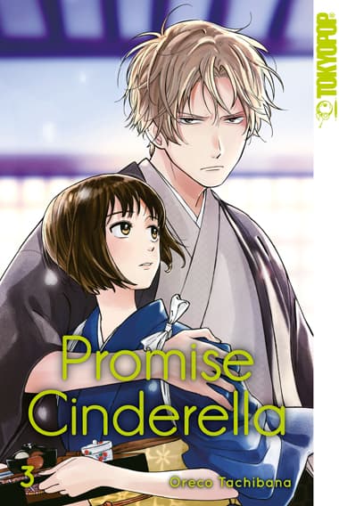Cover Art for PROMISE CINDERELLA