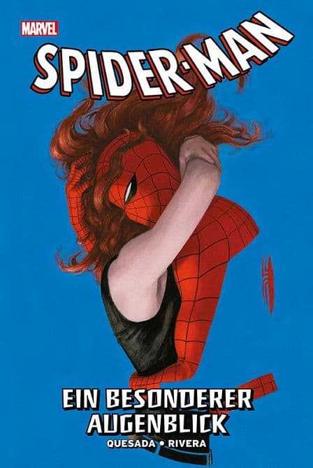 SPIDER-MAN: EIN BESONDERER AUGENBLICK ( HC )