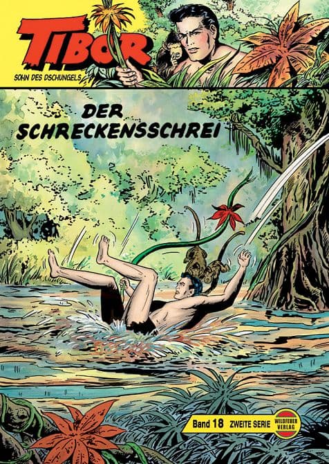Cover Art for TIBOR II. SERIE GROßBAND