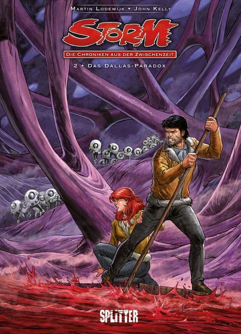 Cover Art for STORM-CHRONIKEN AUS DER ZWISCHENZEIT