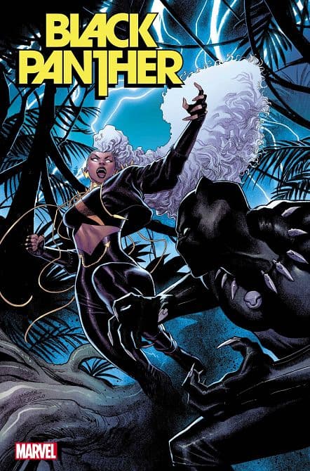 Cover Art for BLACK PANTHER ( 2021-2023 )