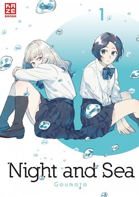 Cover Art for NIGHT AND SEA