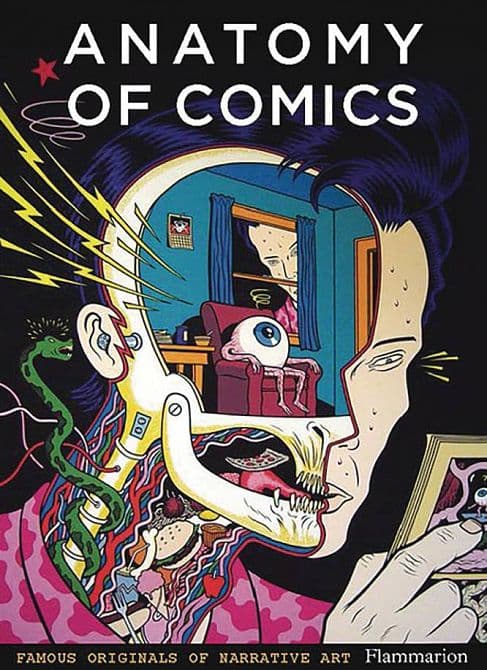 ANATOMY OF COMICS FAMOUS ORIGINALS OF NARRATIVE ART SC