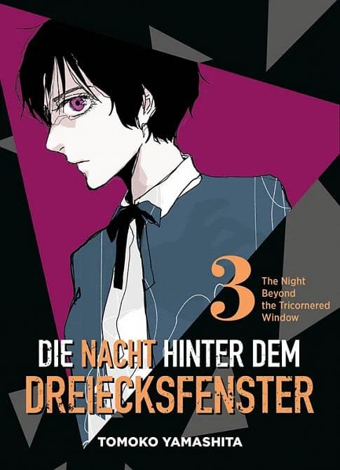 Cover Art for DIE NACHT HINTER DEM DREIECKSFENSTER