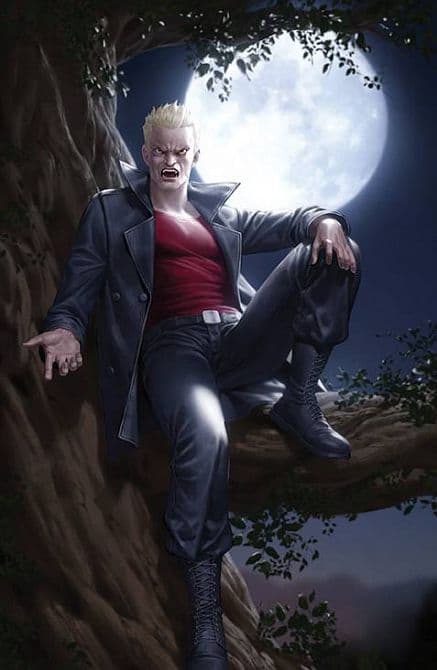 Cover Art for VAMPIRE SLAYER ( BUFFY )