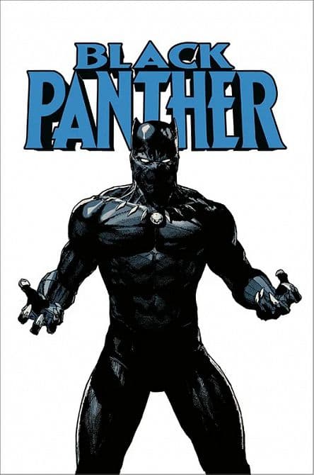 Cover Art for BLACK PANTHER ( 2022 )