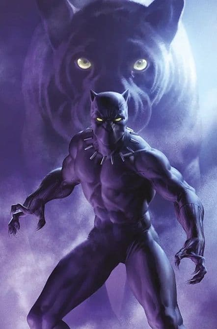 Cover Art for BLACK PANTHER ( ab 2022 )