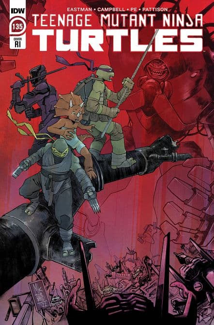Cover Art for TEENAGE MUTANT NINJA TURTLES ONGOING