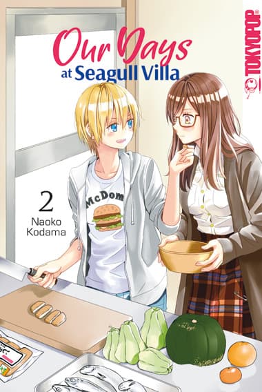 Cover Art for OUR DAYS AT SEAGULL VILLA