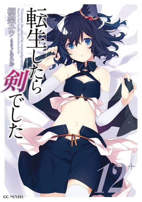 Cover Art for REINCARNATED AS A SWORD LIGHT NOVEL SC VOL 12