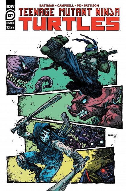 Cover Art for TEENAGE MUTANT NINJA TURTLES ONGOING