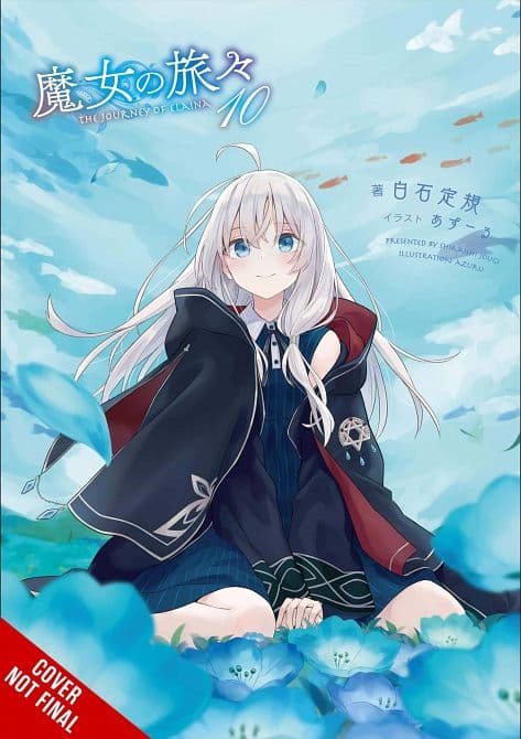 Cover Art for WANDERING WITCH JOURNEY ELAINA LIGHT NOVEL SC VOL 10