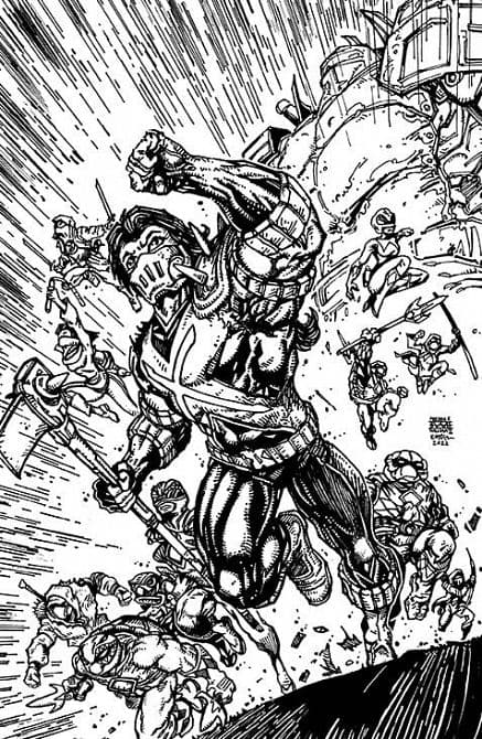 Cover Art for POWER RANGERS TEENAGE MUTANT NINJA TURTLES ( MMPR TMNT ) II