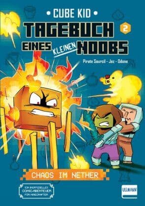 TAGEBUCH EINES KLEINEN NOOBS