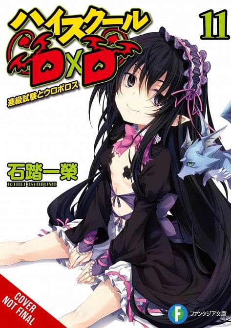 Cover Art for HIGH SCHOOL DXD LIGHT NOVEL SC VOL 11