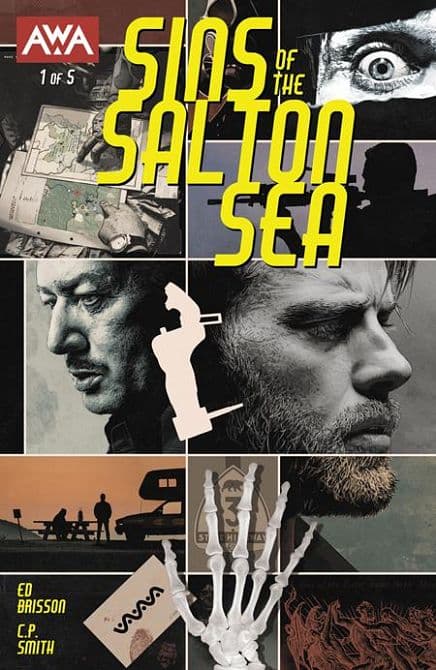 Cover Art for SINS OF THE SALTON SEA