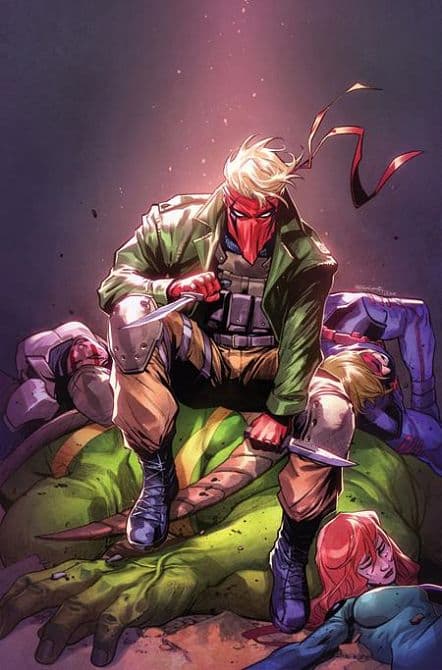 Cover Art for WILDCATS