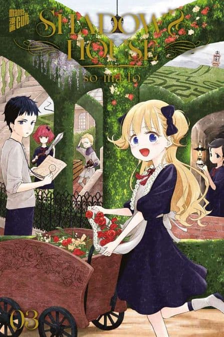 Cover Art for SHADOWS HOUSE