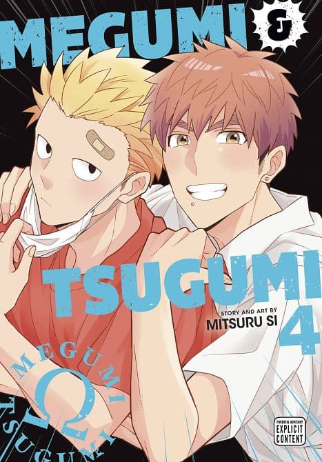 Cover Art for MEGUMI & TSUGUMI GN VOL 04