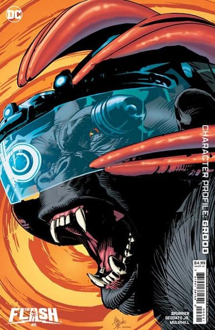 Cover Art for FLASH